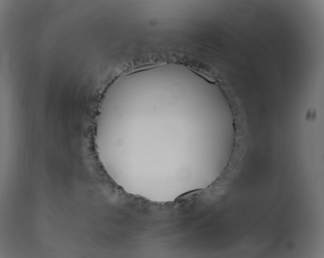 X0000111500192200907281300