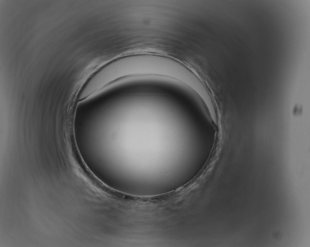 X0000111500193200907281259