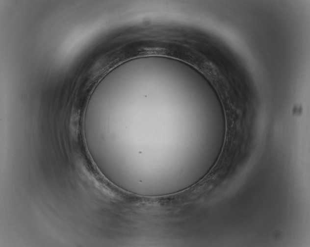 X0000111500194200907281259