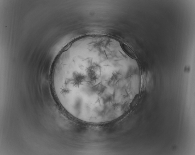 X0000111500195200907281259