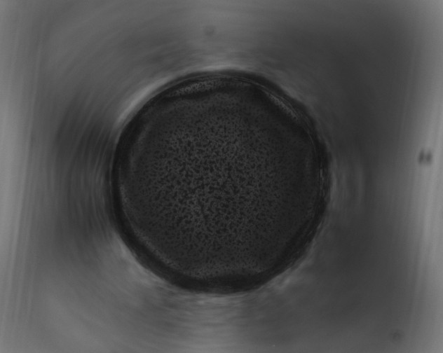 X0000111500196200907281259