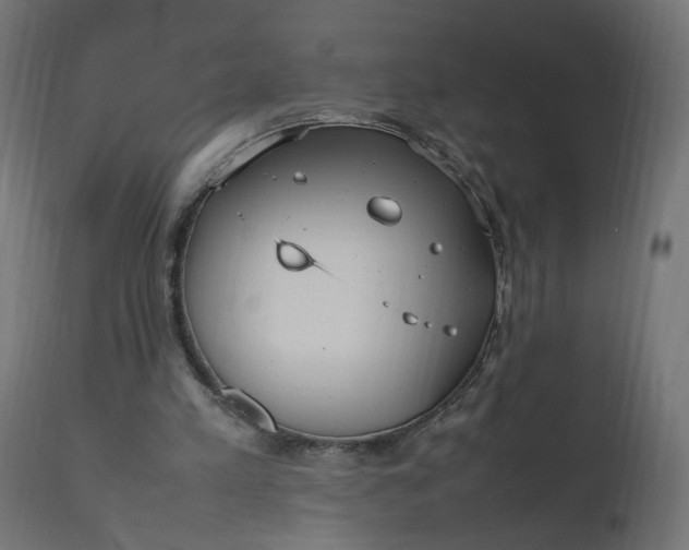 X0000111500197200907281259