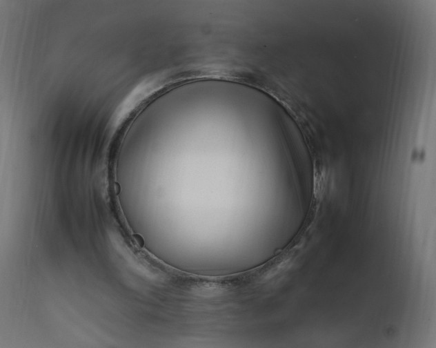 X0000111500198200907281259