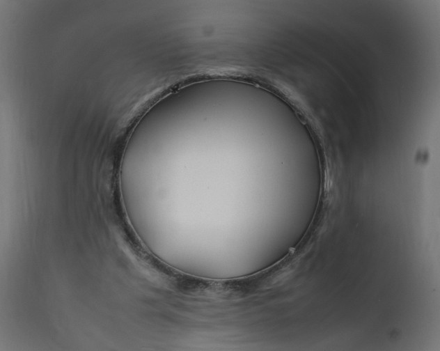 X0000111500201200907281259