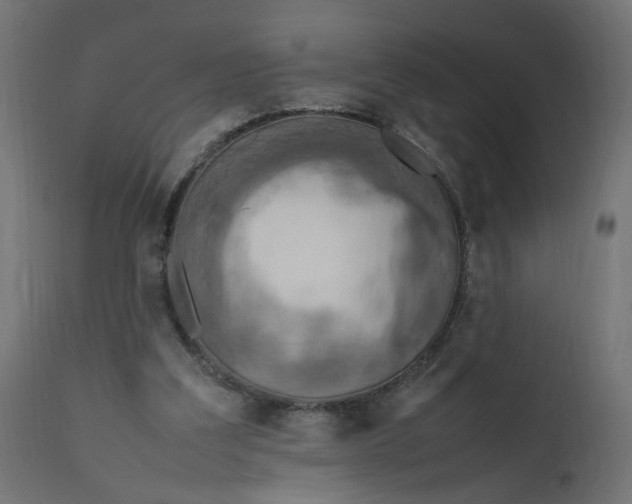 X0000111500203200907281259