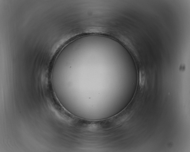 X0000111500204200907281259