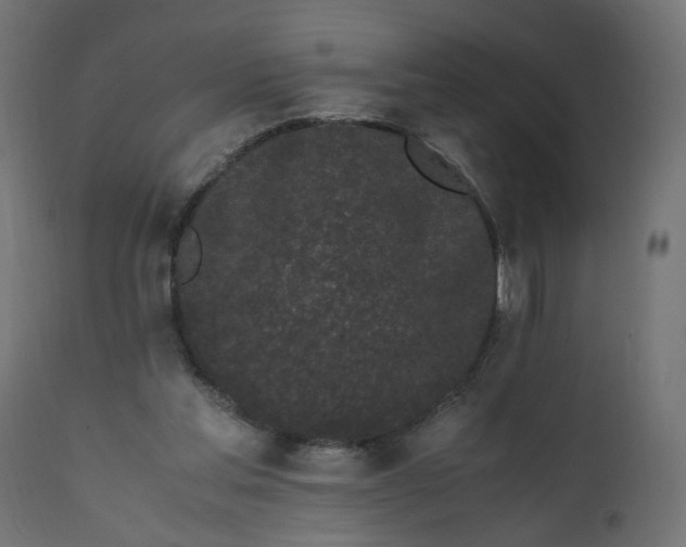 X0000111500205200907281259