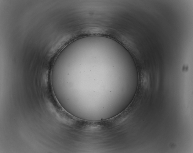 X0000111500206200907281259