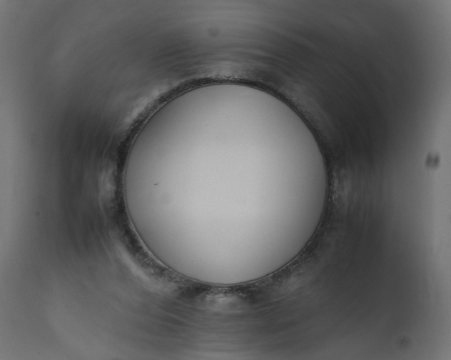 X0000111500208200907281259