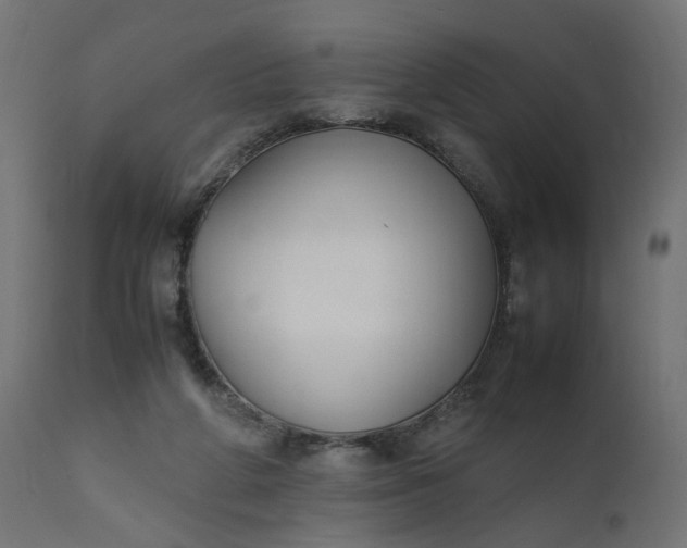 X0000111500210200907281259