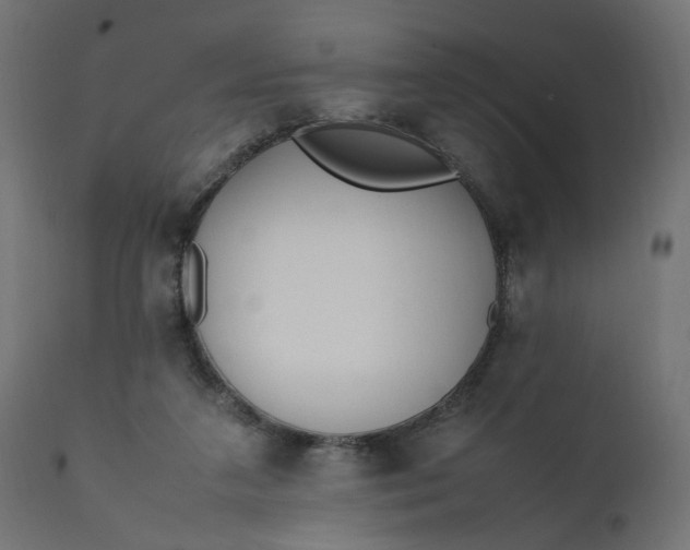 X0000111500211200907281259