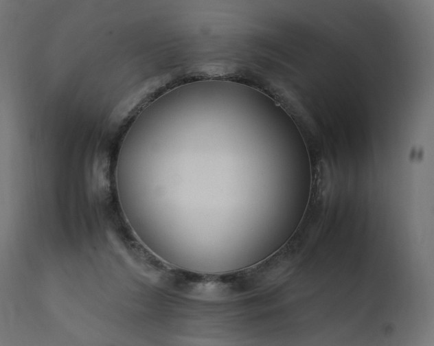 X0000111500212200907281259