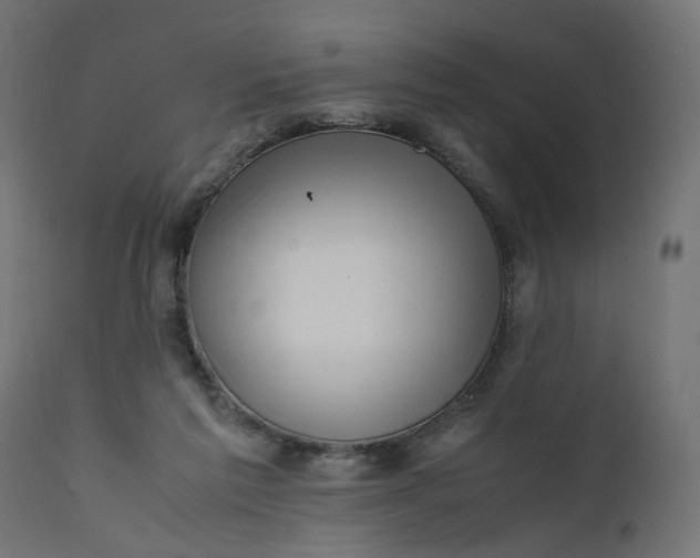 X0000111500213200907281259