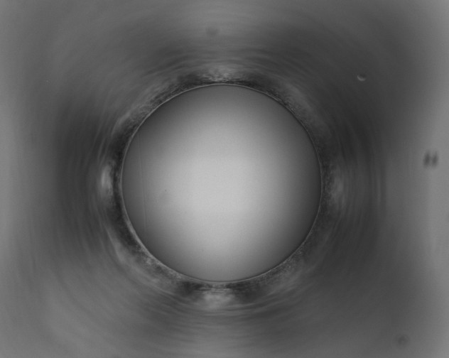 X0000111500214200907281259