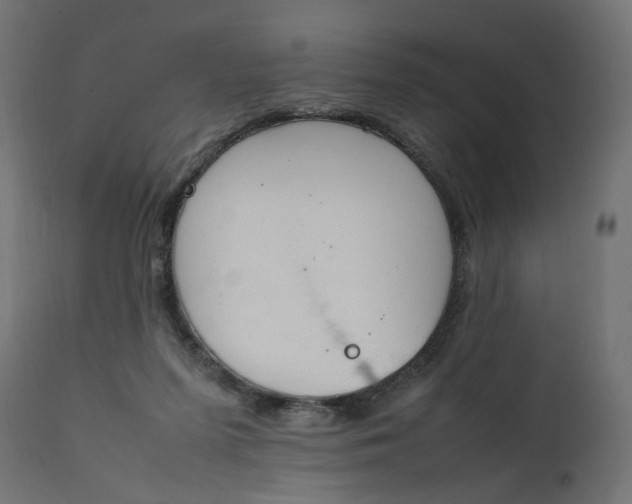 X0000111500215200907281259