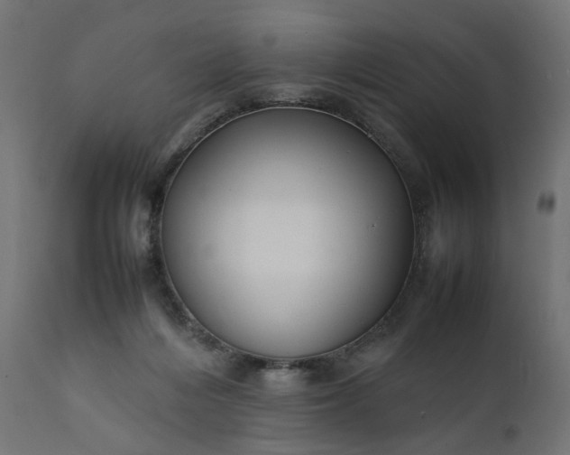 X0000111500216200907281259