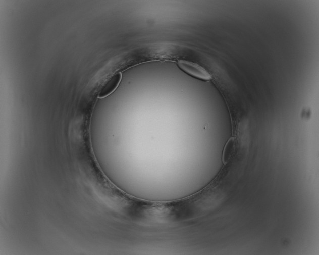 X0000111500217200907281259