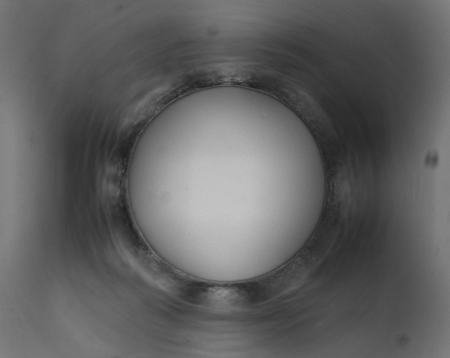 X0000111500218200907281259