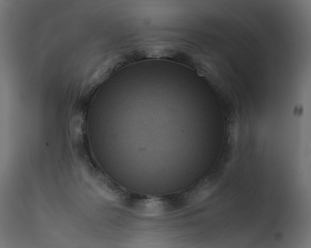 X0000111500219200907281259