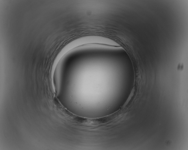 X0000111500221200907281259