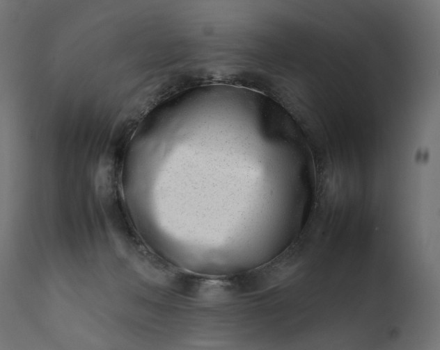 X0000111500222200907281259