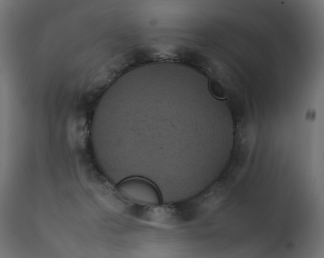 X0000111500223200907281259