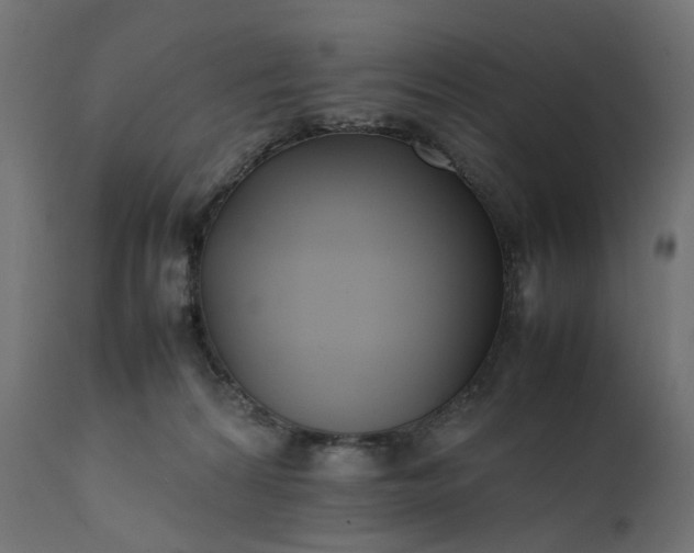 X0000111500224200907281259