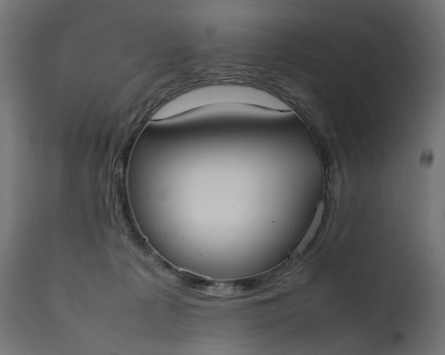 X0000111500225200907281259