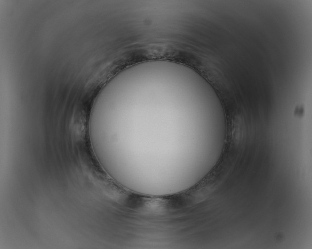 X0000111500226200907281259