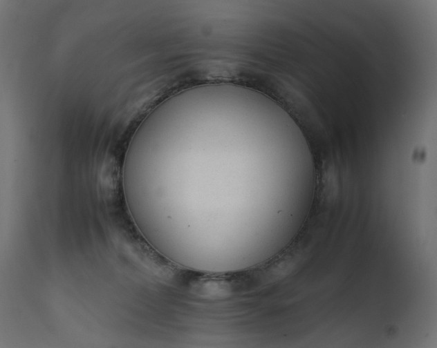 X0000111500228200907281259