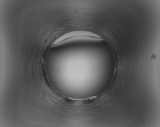 X0000111500229200907281259