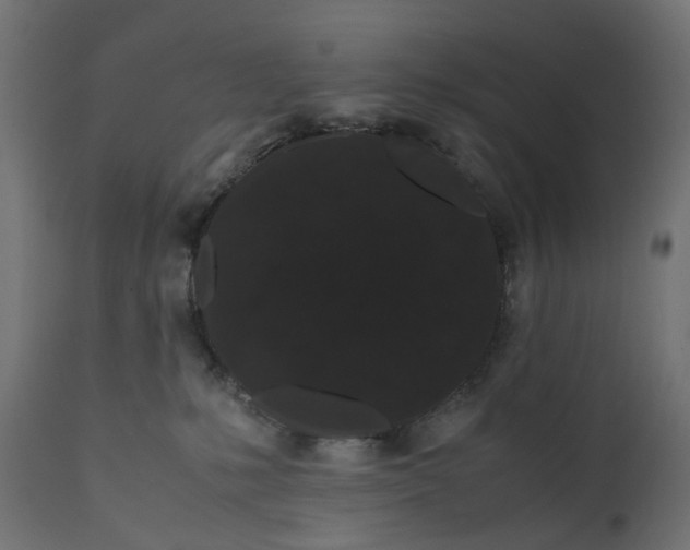 X0000111500231200907281259