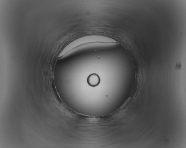 X0000111500233200907281259