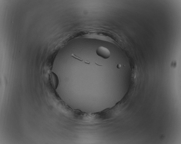 X0000111500235200907281259