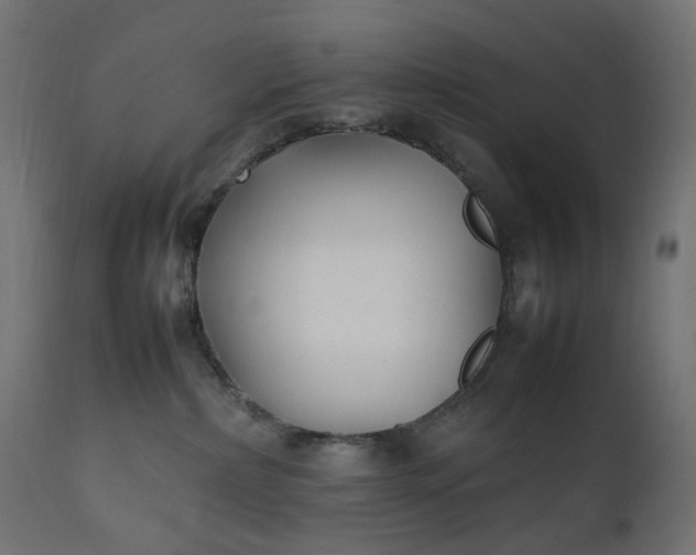 X0000111500236200907281259