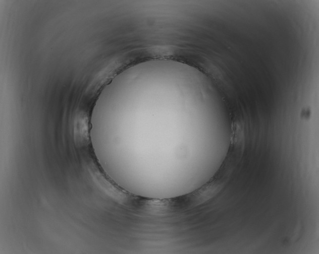 X0000111500238200907281259