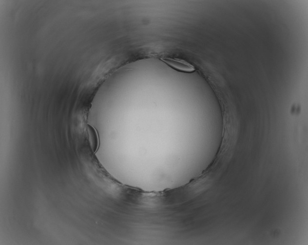 X0000111500240200907281259