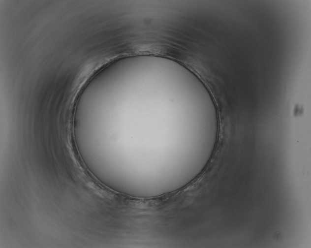 X0000111500241200907281258