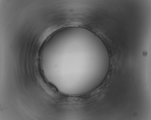 X0000111500242200907281258