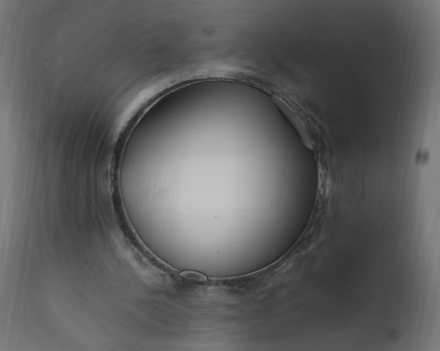 X0000111500244200907281258