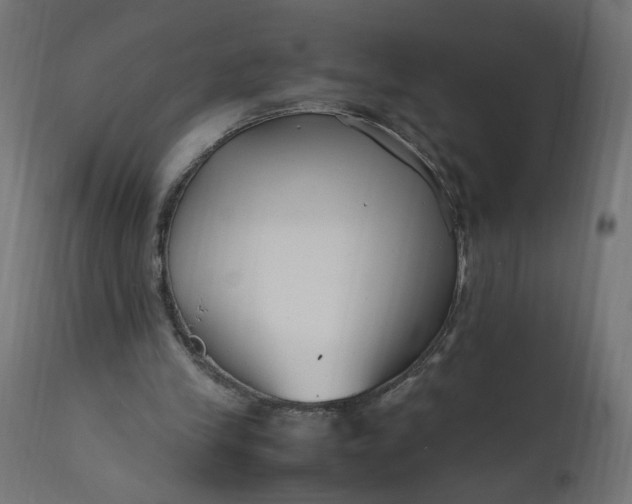 X0000111500245200907281258