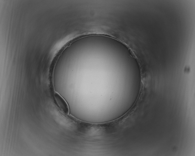 X0000111500248200907281258