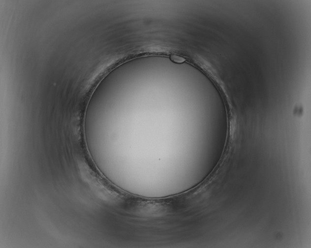 X0000111500249200907281258