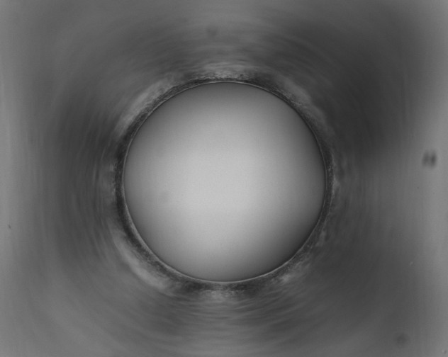 X0000111500250200907281258