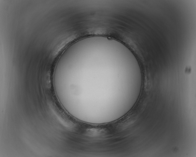 X0000111500251200907281258