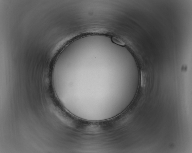 X0000111500252200907281258