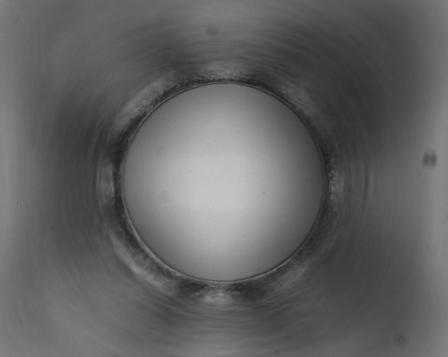 X0000111500254200907281258