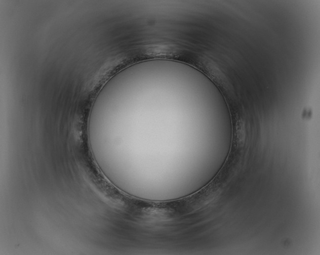 X0000111500255200907281258