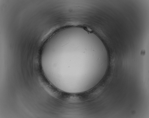 X0000111500256200907281258