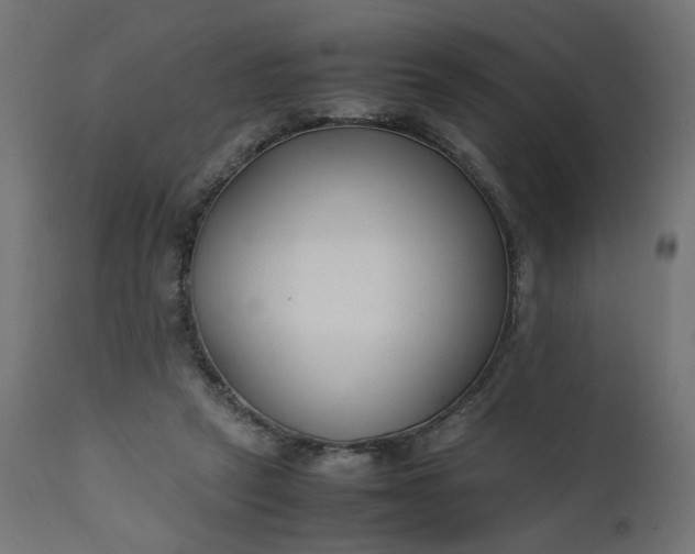 X0000111500257200907281258